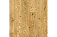 Дуб натуральный Пантин 00608: Коллекция Excellent 33кл Hydro 4V - ламинат Balterio (Балтерио) 